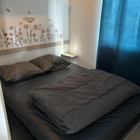 Camping Mobile Climatise 4 Personnes Proche Europapark *